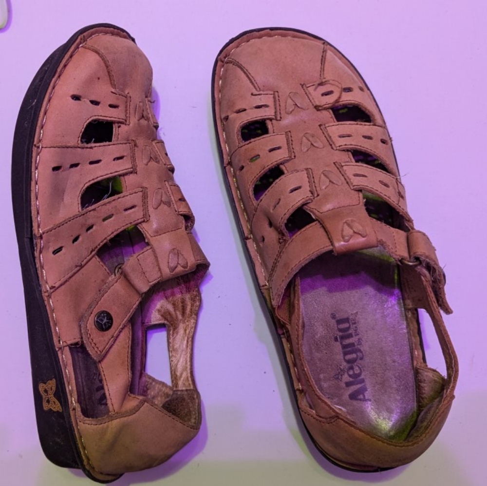 Alegria shoes